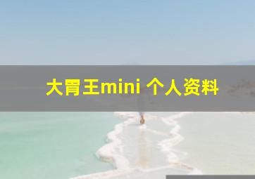 大胃王mini 个人资料