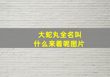 大蛇丸全名叫什么来着呢图片