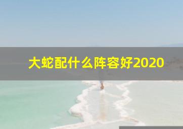 大蛇配什么阵容好2020