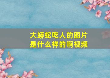 大蟒蛇吃人的图片是什么样的啊视频