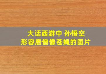 大话西游中 孙悟空形容唐僧像苍蝇的图片