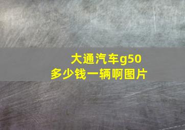 大通汽车g50多少钱一辆啊图片