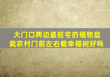 大门口两边最旺宅的植物盆栽农村门前左右载幸福树好吗