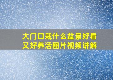 大门口栽什么盆景好看又好养活图片视频讲解