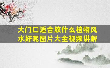 大门口适合放什么植物风水好呢图片大全视频讲解