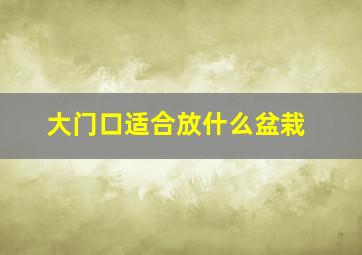 大门口适合放什么盆栽