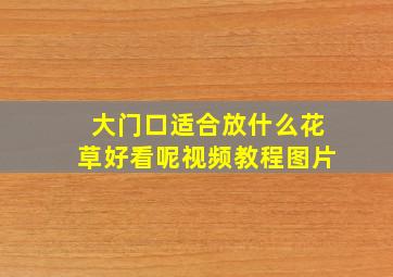 大门口适合放什么花草好看呢视频教程图片