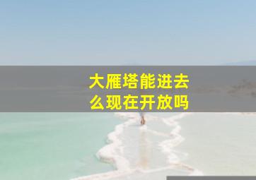 大雁塔能进去么现在开放吗