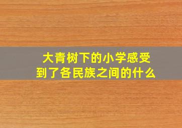 大青树下的小学感受到了各民族之间的什么