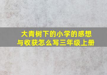 大青树下的小学的感想与收获怎么写三年级上册