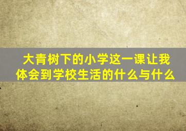 大青树下的小学这一课让我体会到学校生活的什么与什么