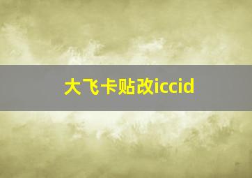 大飞卡贴改iccid