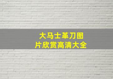 大马士革刀图片欣赏高清大全