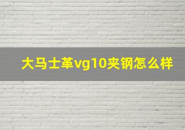 大马士革vg10夹钢怎么样