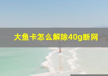 大鱼卡怎么解除40g断网