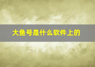 大鱼号是什么软件上的