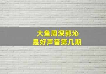 大鱼周深郭沁是好声音第几期