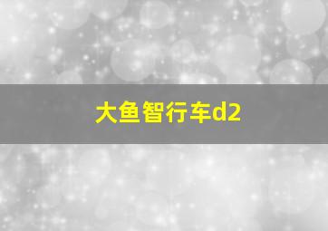 大鱼智行车d2