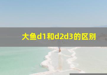 大鱼d1和d2d3的区别