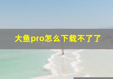 大鱼pro怎么下载不了了