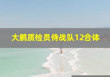 大鹏质检员侍战队12合体