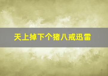 天上掉下个猪八戒迅雷