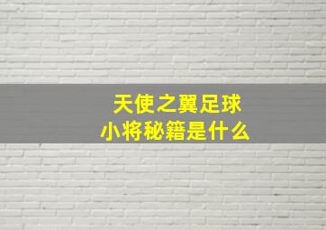 天使之翼足球小将秘籍是什么