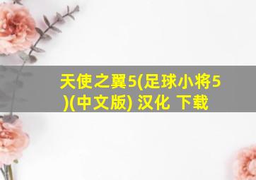 天使之翼5(足球小将5)(中文版) 汉化 下载