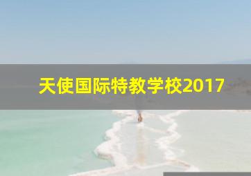 天使国际特教学校2017