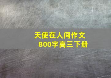 天使在人间作文800字高三下册