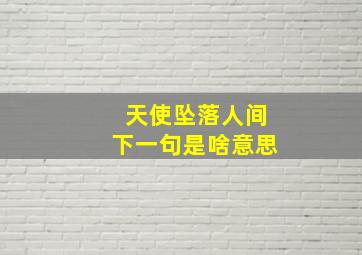 天使坠落人间下一句是啥意思