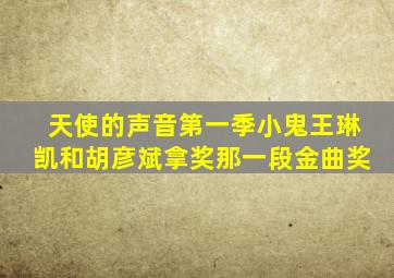 天使的声音第一季小鬼王琳凯和胡彦斌拿奖那一段金曲奖