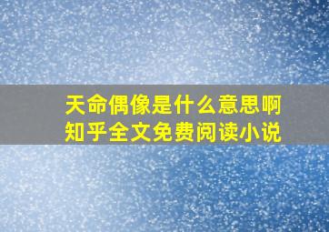 天命偶像是什么意思啊知乎全文免费阅读小说