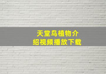 天堂鸟植物介绍视频播放下载