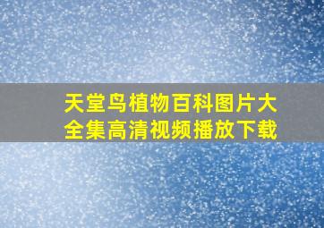 天堂鸟植物百科图片大全集高清视频播放下载