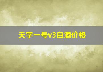 天字一号v3白酒价格