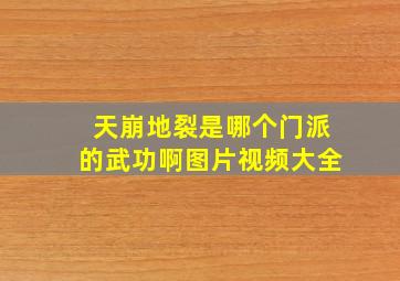 天崩地裂是哪个门派的武功啊图片视频大全