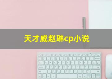 天才威赵琳cp小说