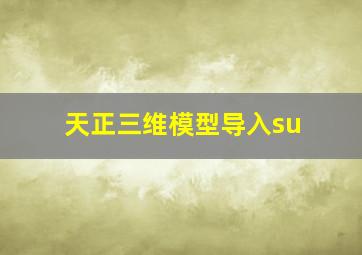 天正三维模型导入su