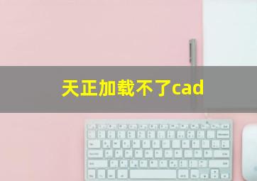 天正加载不了cad