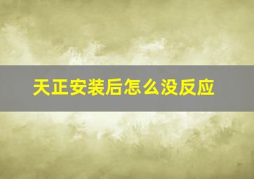 天正安装后怎么没反应