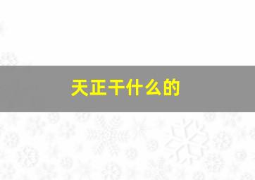 天正干什么的