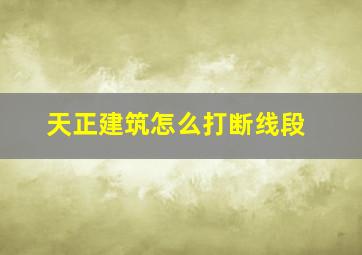 天正建筑怎么打断线段