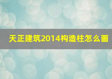 天正建筑2014构造柱怎么画