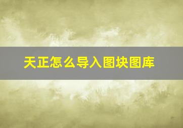 天正怎么导入图块图库