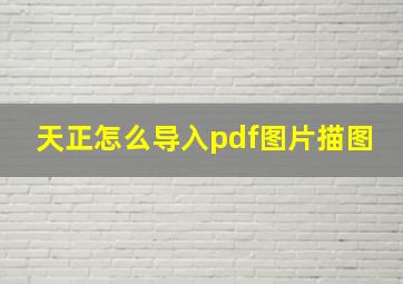 天正怎么导入pdf图片描图