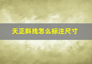 天正斜线怎么标注尺寸