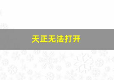 天正无法打开