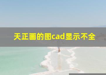 天正画的图cad显示不全