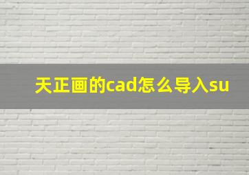 天正画的cad怎么导入su